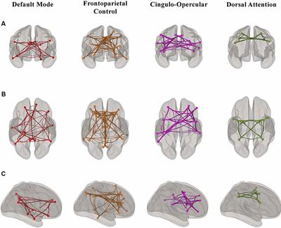 The Role of Resting-State Network Functional Connectivity in Cognitive Aging